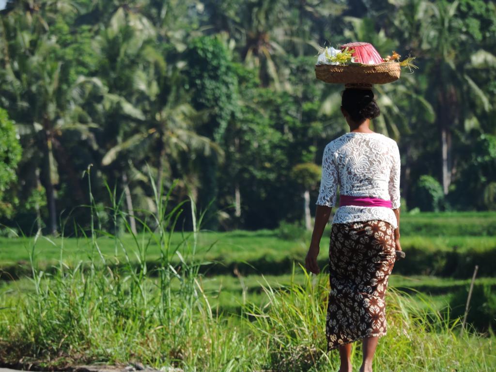 Budhi Ayu Cottages Ubud Zewnętrze zdjęcie